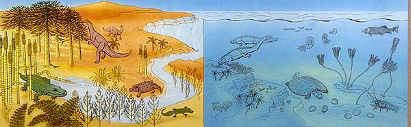 250 - 205 Millionen Jahre - Erneuerung des Lebens an Land und in Meer